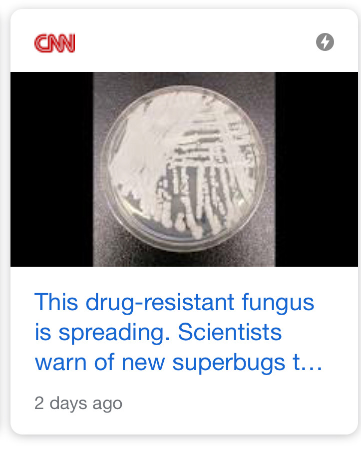 Dispelling Myths About MultidrugResistant Fungus American Council on